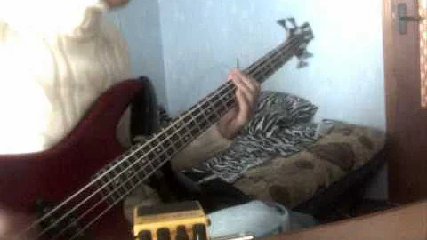 Muse - Supermassive black hole(bass cover)