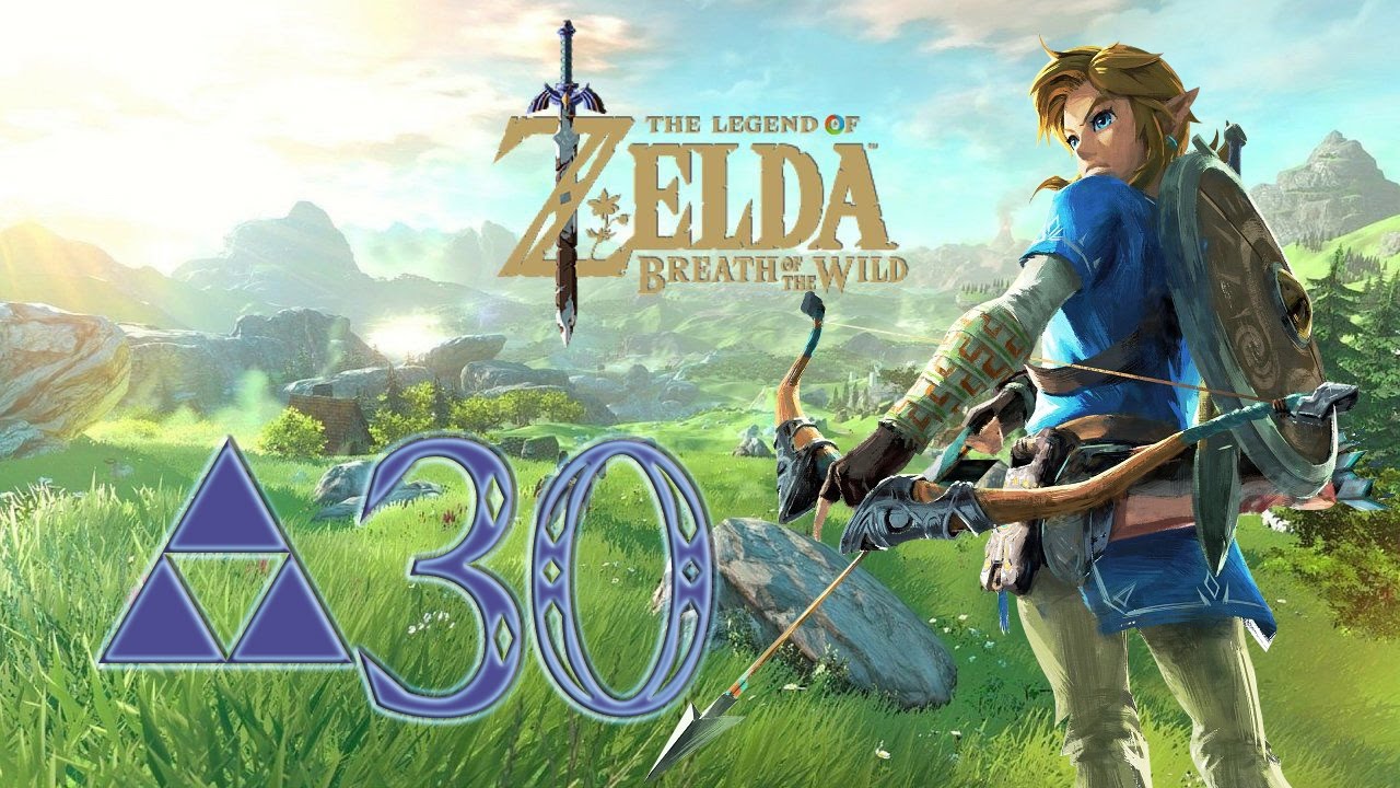 Zelda Breath Of The Wild Zwei In Eins