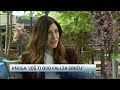 Milan Damjanac: Priča o sreći nas upropaštava kao ljude i civilizaciju