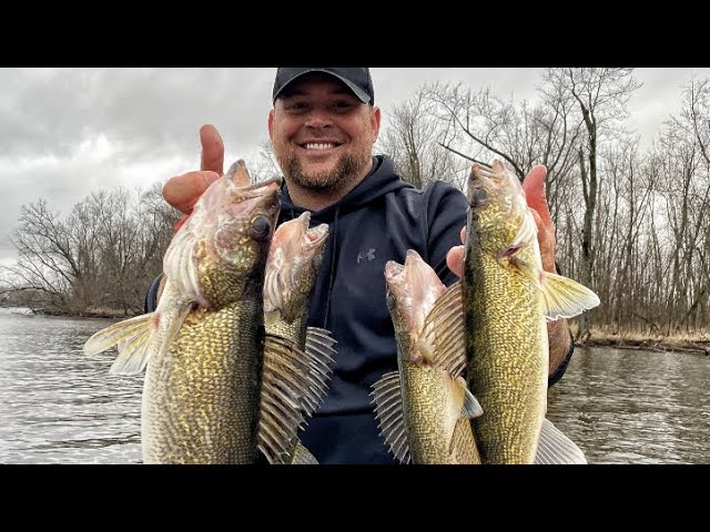 How to hook a minnow for walleye fishing with and without a