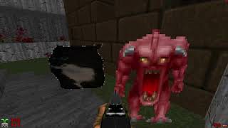 Doom 2-Maxwell The Cat Follower Companion Miscellaneous Modification