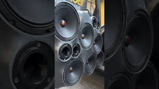 НЕРЕАЛЬНЫЙ ПАНЧ от DL Audio Punch machine 200 #dlaudio #bass