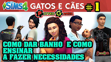 Como fazer o cachorro fazer as necessidades The Sims 4?