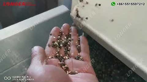 Buckwheat Hulling Machine Video from German Customer