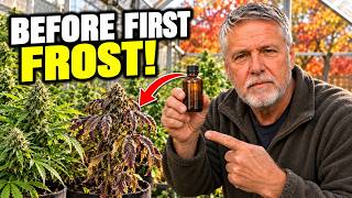 Your Cannabis Plants Need This Every OCTOBER. An Educational Guide.