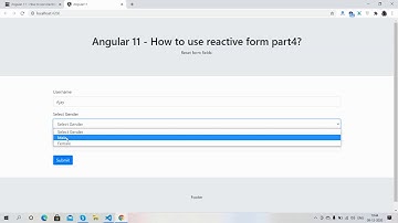 Angular 11 - how to use reactive form part4 ? Reset Form
