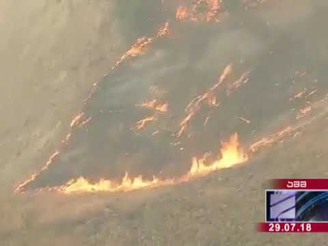 5 დაღუპული, მათგან ორი ბავშვი   ტყის ხანძრების გამო კალიფორნიაში საგანგებო მდგომ