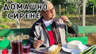 ДОМАШНО КРАВЕ СИРЕНЕ! КАК СЕ ПРАВИ И ТЪНКОСТИ В МАЙСТОРЛЪКА НА ПРИГОТВЯНЕ! ВКУСЪТ НА НАШЕТО ДЕТСТВО