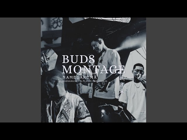 BUDS MONTAGE - YouTube