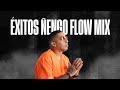 Ñengo Flow - La Prisión | Mix Ñengo Flow | Éxitos de Ñengo Flow | Ñengo Flow 2019 | RG4L