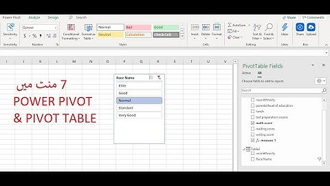MS Excel Pivot & Power Pivot Table  in Urdu/Hindi; Complete in 7 minutes