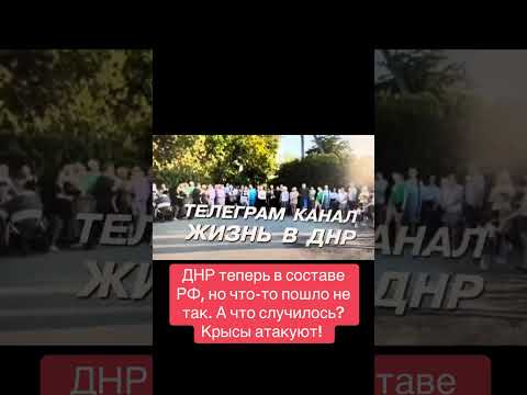 ДНР вошла в