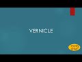 Vernicle meaning