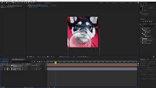 After Effect_放大鏡效果