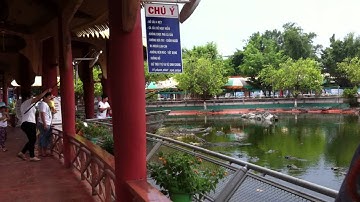 Vương quốc Cá sấu (5)- Suối Tiên 28.06.2014