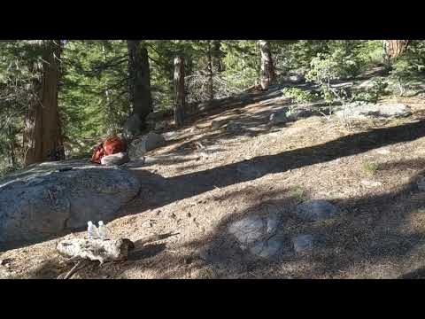 Video: Fotografije, Ki Vas Bodo Prepričale, Da Si Ogledate Kennedy Meadows In Relief Reservoir