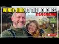 Roaches - The Wind Won!