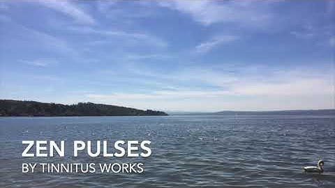Zen Pulses - Tinnitus Relief