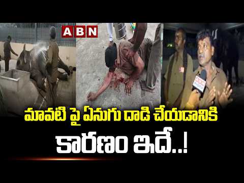 మావటి పై ఏనుగు దాడి చేయడానికి కారణం ఇదే..! | Elephant Attack In Tiruchanur Temple Incident Updates - ABNTELUGUTV