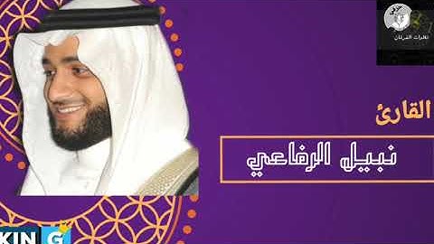 القارئ نبيل الرفاعي | سورة النوح