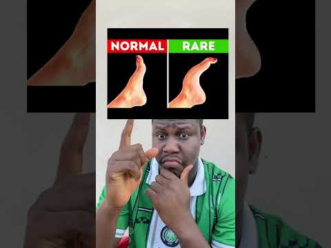 Song Music Duet Snackshowdown Animemusic Funny Snackablehumor Animesoundtrack Comedy