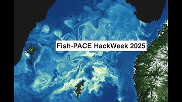 Run tutorials in the JupyterHub