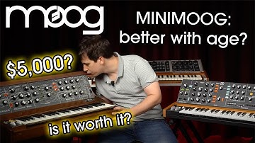 The Moog Minimoog: Is It Worth It? | The Original vs. the Modern Reproduction, the Behringer Poly D