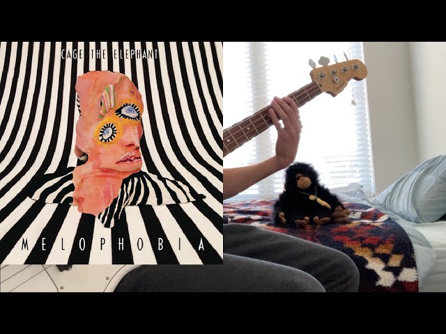 Cage the Elephant - Cigarette Daydreams - Bass Cover