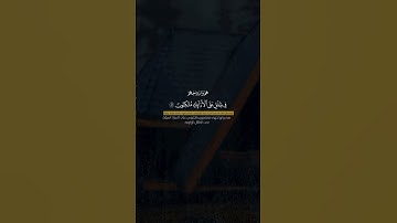 #احمد_النفيس | #سورة_يس | #قرآن