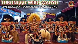 TURONGGO WIRO WADYO (TWW) RAYON JARAN KEPANG TEMANGGUNG ‼️ LIVE NGABEAN TEGOWANUH KALORAN TMG