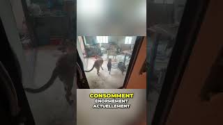 Thaïlande: La Chaleur de Songkran Fait Grimper la Facture d'Énergie! #shorts