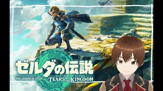 ゆるっと配信【ゼルダの伝説 ティアーズオブザキングダム】※母親が同席、監督しております！