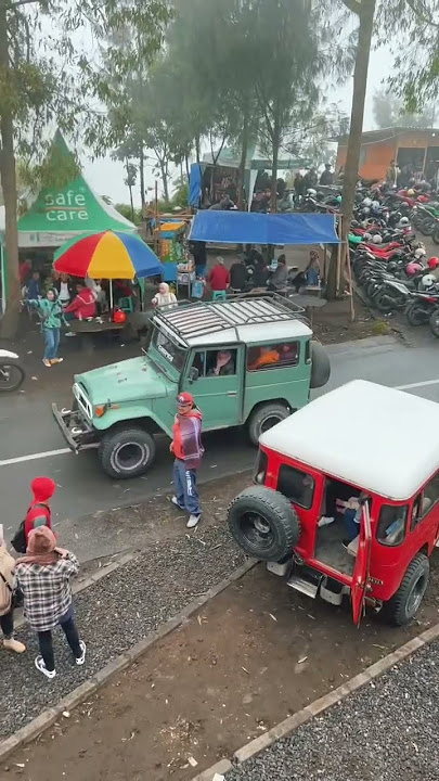 Weekend ke Bromo Hillside? #bromo #destination #viral