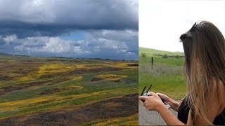 Didn't know California was like this! (special collab)