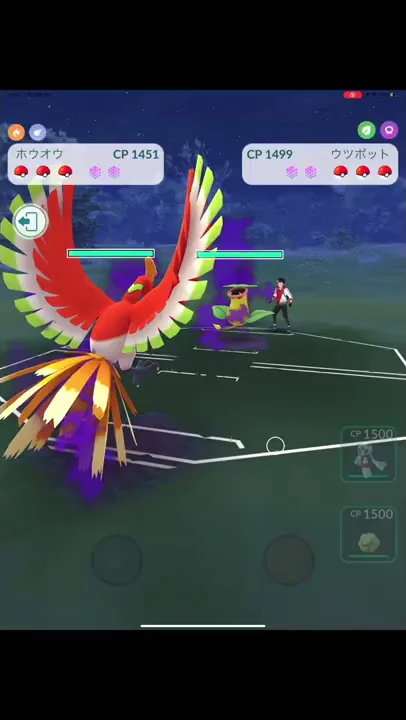 シャドウホウオウ