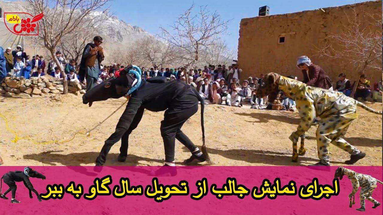 نمایش بسیار زیبا از تحویل سال گاو به ببر در جشنواره سال نو در ولایت دایکندی ولسوالی میرامور