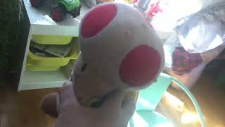 Sbg4 Toad Is Out Of Time