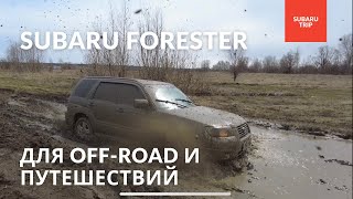 Subaru Forester SG 2006 года 2.0л 158 лс | обзор