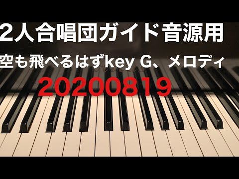 空も飛べるはず　スピッツ　ピアノ弾き歌いcoverふたり合唱団