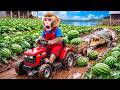 Monkey NaNa’s Watermelon Harvest Turns CHAOTIC as She Escapes a Ferocious Crocodile! 🐊😱