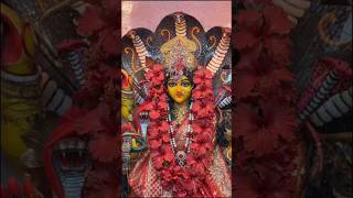 মা 🌸#জয়_মা_মনসা #মনসা #mansa