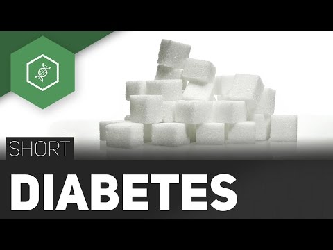 Diabetes mellitus – Die Zuckerkrankheit