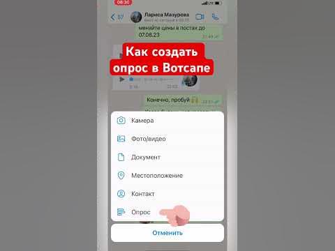 Как создать опрос в Вотсапе - YouTube