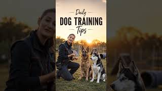 #vairalshort #trainingtips #dogcoach #motivationalvideo #lovestory #pets