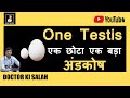 Testis ka normal size kitna hona chahiye | क्या एक अंडकोष से बाप बन सकते हैं