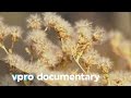 Seeds battles - The Doomsday vault - VPRO documentary - 2013