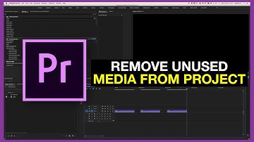 How to Clean Up Your Premiere Project - Remove Unused Media from Premiere Project