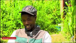 Regerai Dombo Vakomana Regai Tapota