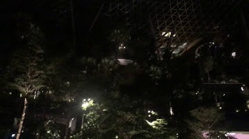 Vortex HSBC - Thác nước nhân tạo lớn nhất thế giới ở sân bay Changi-Ban Đêm