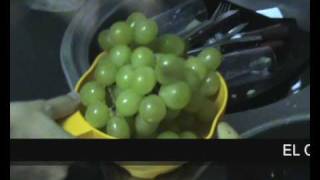 Justino y las uvas de la muerte II TRAILER